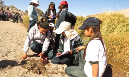 Estudiantes de Calama y Alto El Loa crean dispositivos para realizar monitoreo ambiental de su territorio