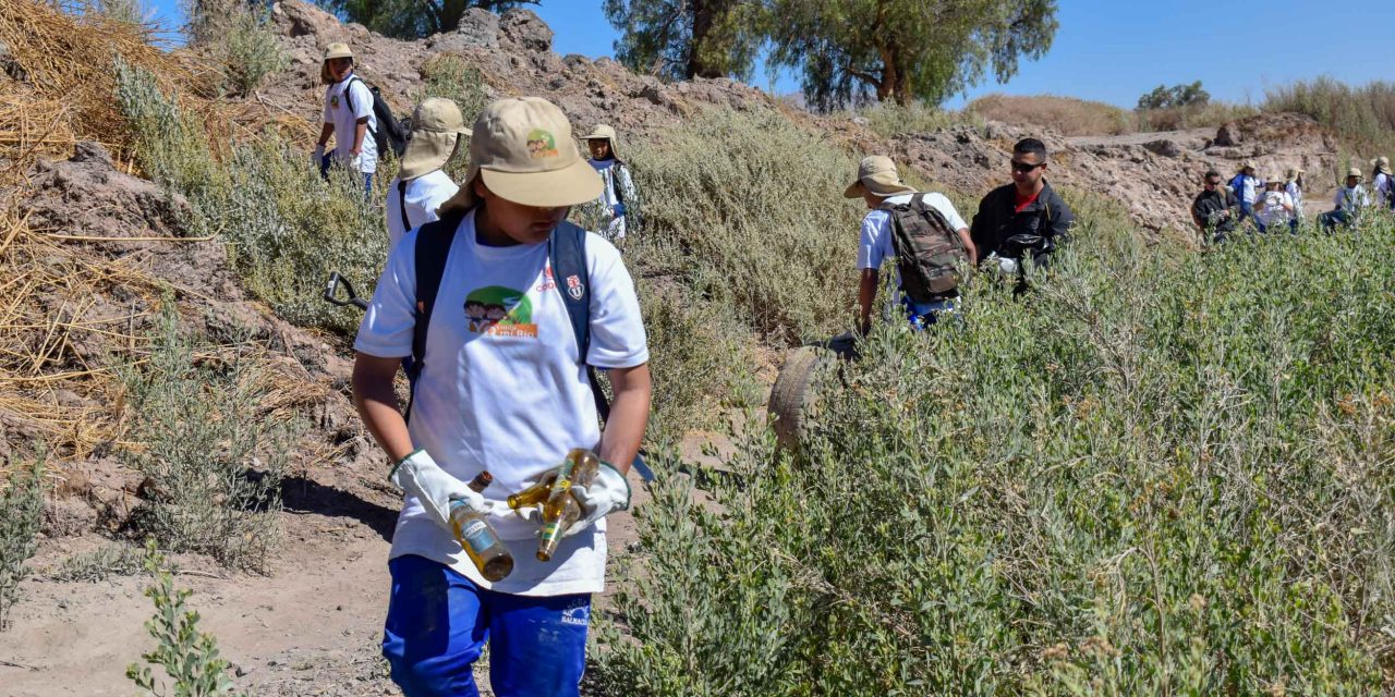 OPERATIVO ORGANIZADO POR CODELCO DISTRITO NORTE PERMITIÓ SACAR CINCO TONELADAS DE BASURA DESDE EL RÍO LOA
