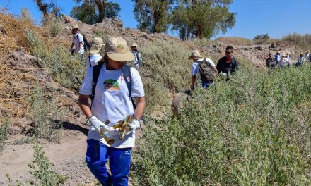 OPERATIVO ORGANIZADO POR CODELCO DISTRITO NORTE PERMITIÓ SACAR CINCO TONELADAS DE BASURA DESDE EL RÍO LOA