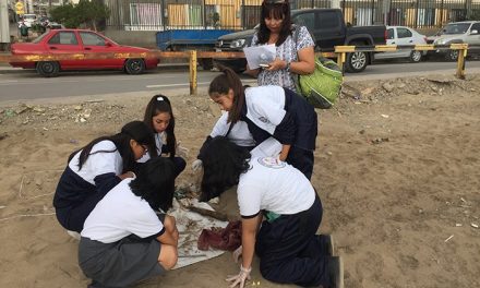 ESCOLARES DETECTAN GRAVE CONTAMINACIÓN POR PLÁSTICOS, VIDRIOS Y CIGARRILLOS EN ANTOFAGASTA