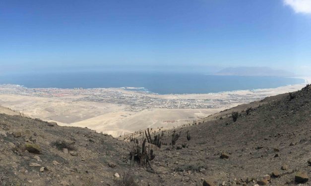 UCN IMPLEMENTARÁ PLAN DE RECUPERACIÓN EN RESERVA NATURAL LA CHIMBA EN ANTOFAGASTA