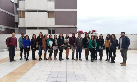 MESA DE ENERGÍA+MUJER RETOMA SU TRABAJO PONIENDO ÉNFASIS EN ENTREGAR OPORTUNIDADES PARA EL DESARROLLO DE LA MUJER EN LA INDUSTRIA ENERGÉTICA