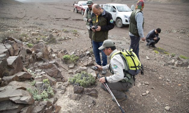 UCN INICIÓ CATASTRO DE FLORA EN RESERVA NACIONAL LA CHIMBA