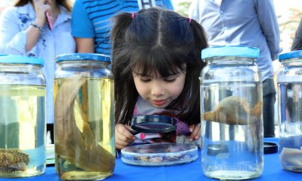 UA CELEBRARÁ EL DÍA NACIONAL DE LAS CIENCIAS EN PLAZA BICENTENARIO