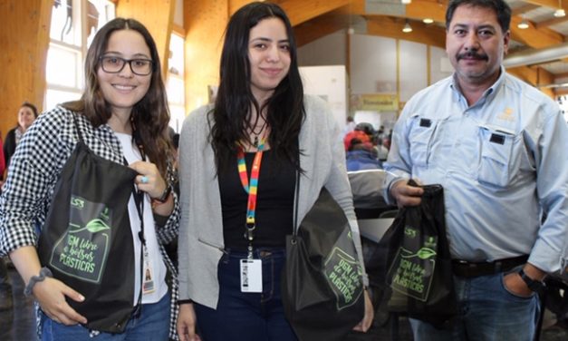 DIVISIÓN GABRIELA MISTRAL LIBRE DE BOLSAS PLÁSTICAS
