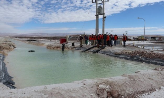 Consejo de Pueblos Atacameños celebra decisión del Primer Tribunal Ambiental respecto a Plan de Cumplimiento de SQM