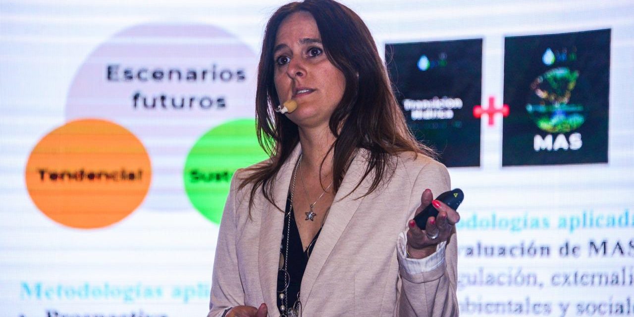 ESCENARIOS HÍDRICOS 2030 INICIA CAMINO A LA IMPLEMENTACIÓN  DE UNA TRANSICIÓN HÍDRICA