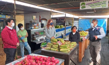 AGRICULTURA, ECONOMÍA Y SERNATUR LANZAN CONCURSO MUJER EMPRESARIA TURÍSTICA 2020