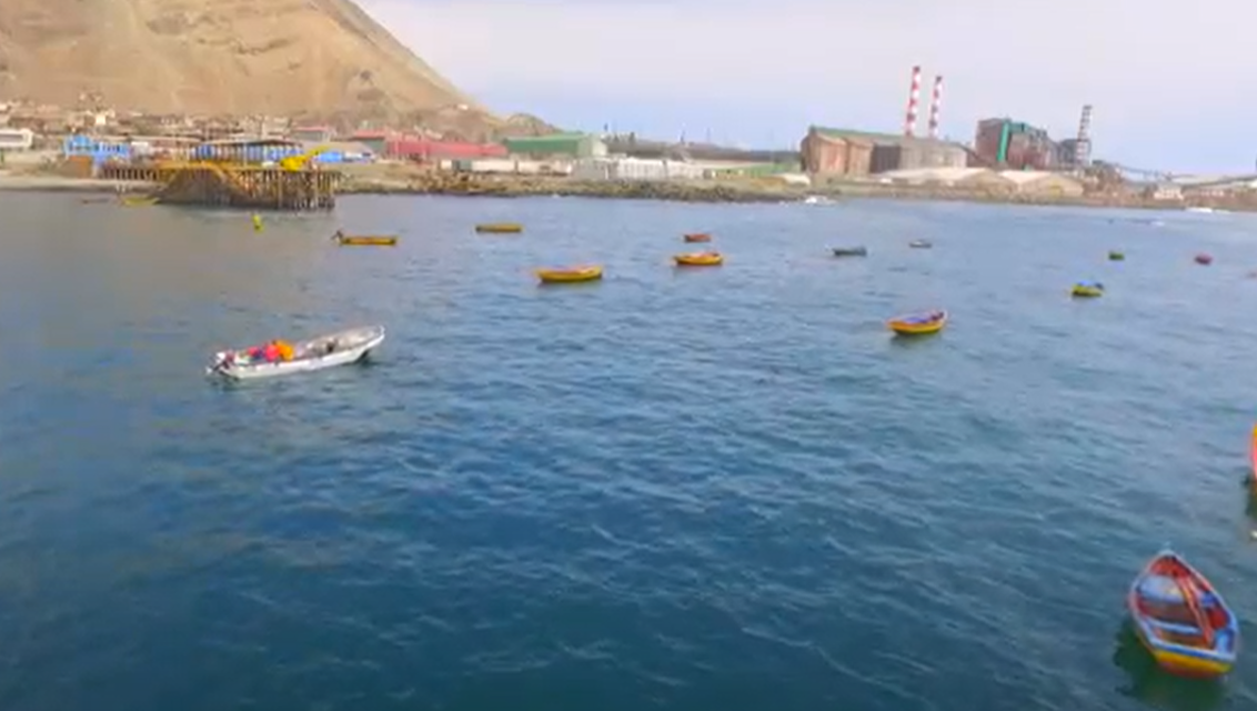 ENTREGAN RESULTADOS DEL DIAGNÓSTICO Y MONITOREO AMBIENTAL DE BAHÍA ALGODONALES DE TOCOPILLA