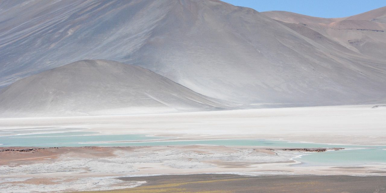 LAS CURIOSAS SEMEJANZAS Y DIFERENCIAS DE LOS MICROORGANISMOS QUE HABITAN EN LA ANTÁRTICA Y EN EL DESIERTO DE ATACAMA