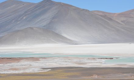 LAS CURIOSAS SEMEJANZAS Y DIFERENCIAS DE LOS MICROORGANISMOS QUE HABITAN EN LA ANTÁRTICA Y EN EL DESIERTO DE ATACAMA