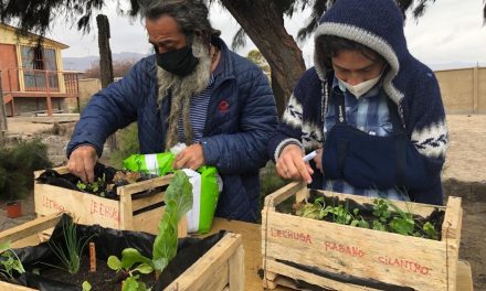 Enseñan finanzas y cultivo de  huertos a 18 personas en situación de calle