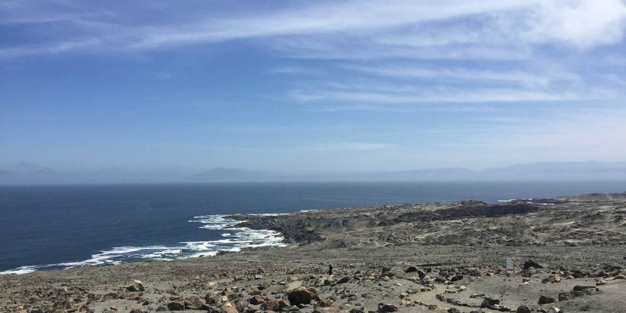 CORE aprobó recursos para desarrollar estudio sobre biodiversidad marina
