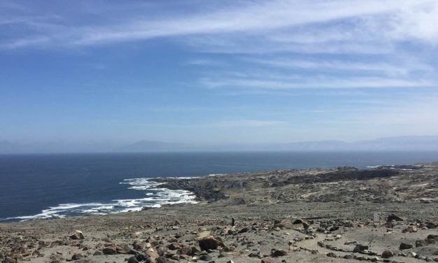 CORE aprobó recursos para desarrollar estudio sobre biodiversidad marina