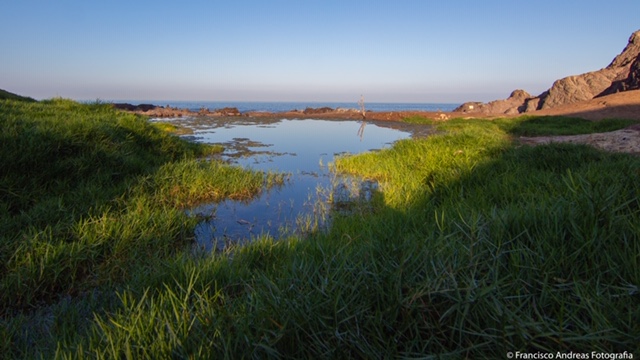 Consejo de Ministros para la Sustentabilidad declara Santuario de la Naturaleza Humedal La Chimba de Antofagasta