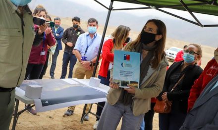 Ministra Schmidt inicia proceso para proteger sector de nidificación del gaviotín chico e inspecciona el primer Santuario de la Naturaleza de Antofagasta