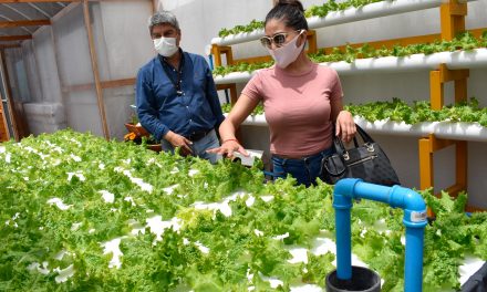 Codelco apoyó proyecto audiovisual de Escuela de Tocopilla para enseñar agricultura