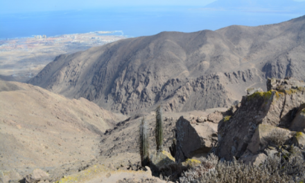 “Laboratorio al aire libre”: actividad online busca exponer la evolución de la ciencia y la tecnología en los pueblos originarios