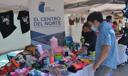 Feria de Emprendedores en las Terrazas de Mallplaza Antofagasta concesionaria de EPA