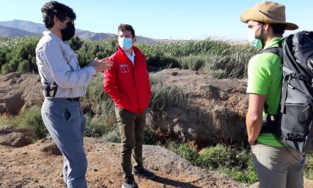 Avanzan gestiones para proteger humedales “La Negra” y “Salar del Carmen” de Antofagasta