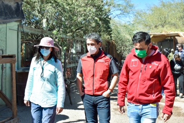 INIA muestra cómo se combate la Mostaza Negra en El Loa