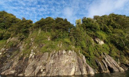 Fundación Tierra Austral logra el primer acuerdo corporativo para la conservación de tierras en Chile