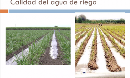 Región de Antofagasta dio fuerte impulso a la reutilización de aguas de procesos para uso agrícola