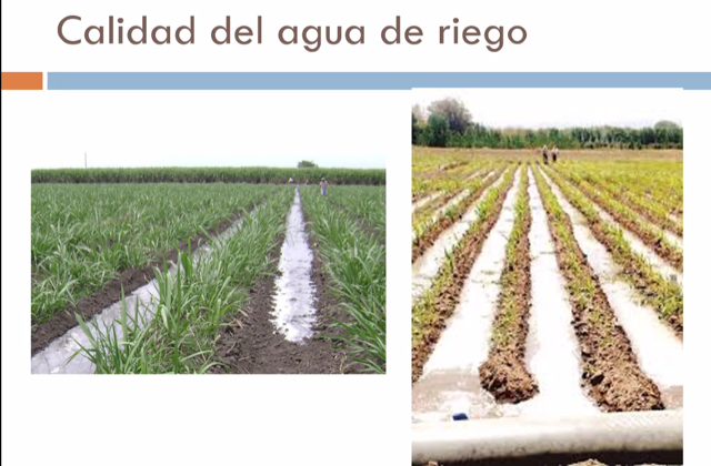 Región de Antofagasta dio fuerte impulso a la reutilización de aguas de procesos para uso agrícola