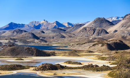 MINCIENCIA Y CORFO APOYARÁN A CINCO PROYECTOS INNOVADORES EN EL DESAFÍO DE MEJORAR EL MONITOREO DE CONAF EN HUMEDALES DEL PAÍS