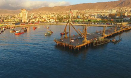 3,3% crecen exportaciones no cobre de Antofagasta