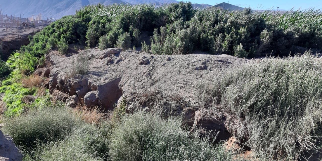 Inician trámite para reconocer ecosistema del Salar del Carmen como Humedal Urbano de Antofagasta