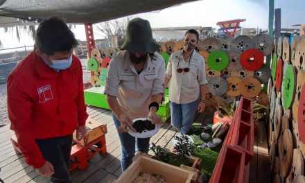 En la ruta del emprendedor verde seremi del Medio Ambiente visitó proyecto CicloRayen