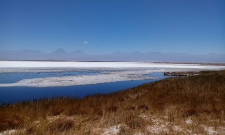 Alta participación en taller ciudadano sobre Estrategia Climática de Largo Plazo en Antofagasta