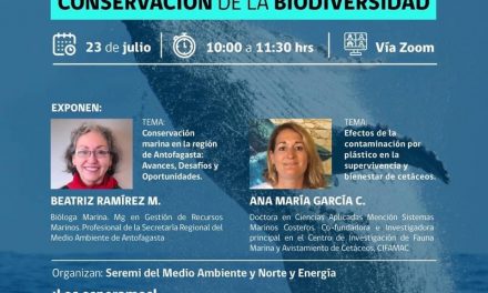 En webinar abordarán el impacto de la basura marina en la conservación de la biodiversidad