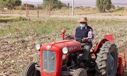 Agricultura loína prepara suelos para una nueva temporada agrícola