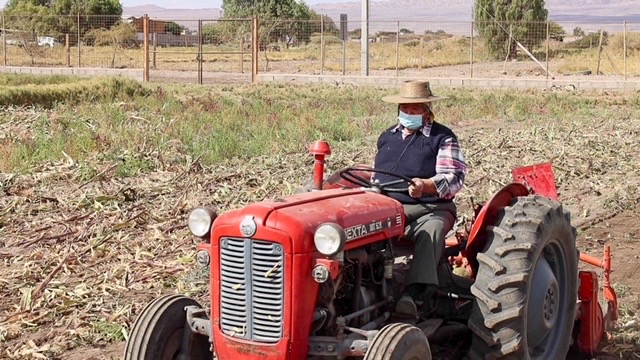 Agricultura loína prepara suelos para una nueva temporada agrícola