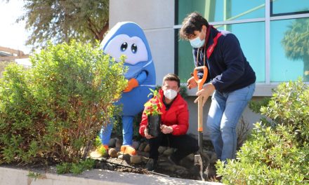 Seremi del Medio Ambiente dona especies de flora costera en categoría de conservación a Jardín Botánico de Aguas Antofagasta