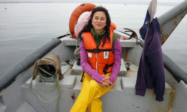 Bióloga Marina e Investigadora de la Universidad de Antofagasta, Patricia Echeverría Morales: “El cambio climático amenaza el pulmón de nuestro planeta”