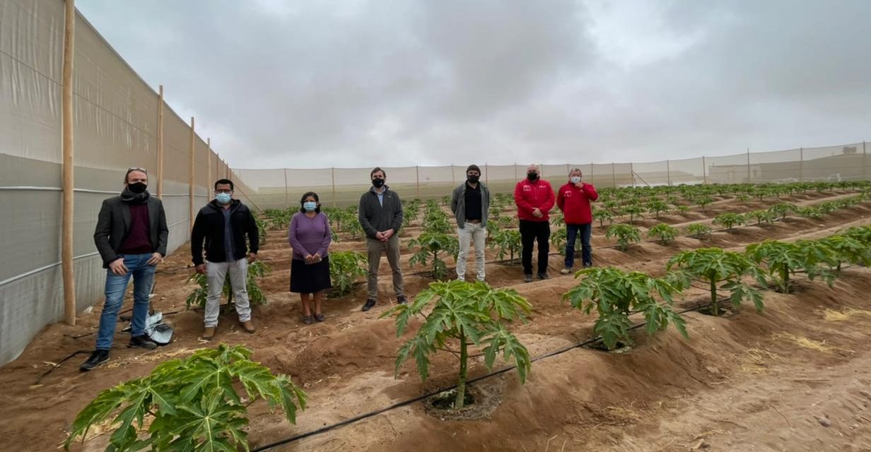 CORFO LANZA PROGRAMA TECNOLÓGICO PARA POTENCIAR LA AGRICULTURA EN ZONAS DESÉRTICAS