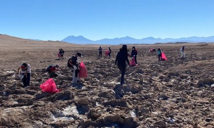 Municipio y voluntarios realizaron exitoso operativo de limpieza en Salar de Rudolph