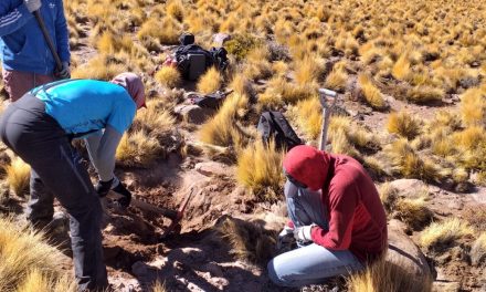 Geólogos UCN crearán mapa geológico del volcán Licancabur