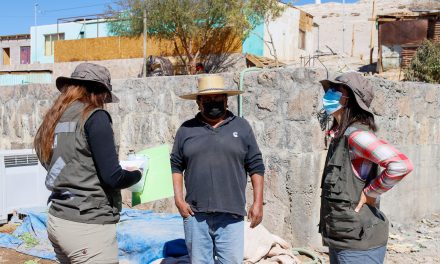 Agricultores cuentan con planes de manejo personalizados para combatir la Mostaza Negra