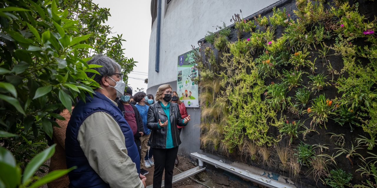 Nuevos jardines verticales para Tocopilla