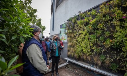 Nuevos jardines verticales para Tocopilla