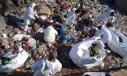 Comunidad Logística de Puerto Antofagasta participa en limpieza del borde costero para la recuperación de espacios públicos de la ciudad