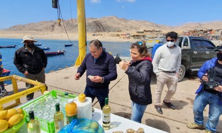 Instalarán el primer criadero de moluscos y algas en Mejillones