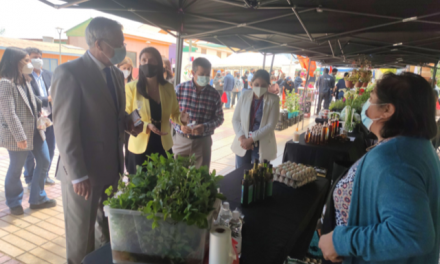 Impulso a mujeres agricultoras de Taltal y el Mercado Campesino