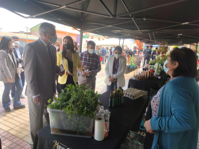 Impulso a mujeres agricultoras de Taltal y el Mercado Campesino