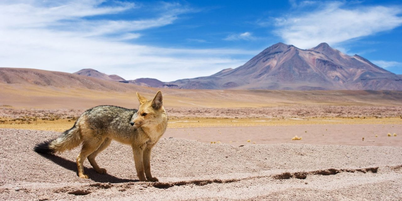 Proyecto Nodo MZN abordará desafíos del Cambio Climático en Taller Capital Natural