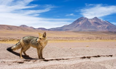 Proyecto Nodo MZN abordará desafíos del Cambio Climático en Taller Capital Natural